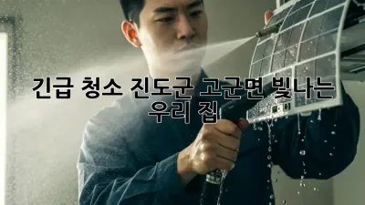 긴급 청소🚨 진도군 고군면, ✨빛나는 우리 집✨