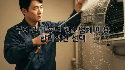 부여군 구룡면 청소업체 비용, 합리적인 선택 ✨